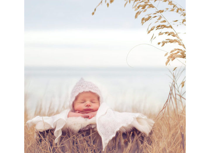 Baby Gallery