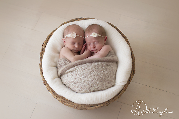 Amelia & Emory