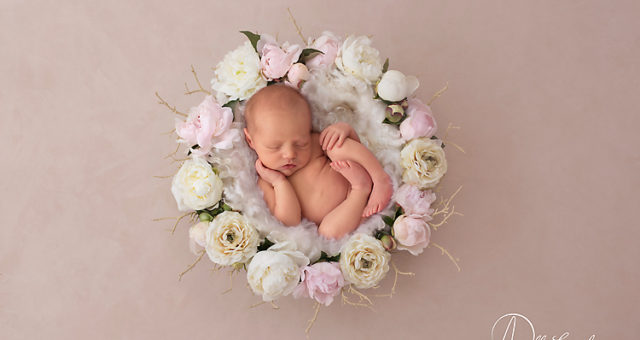 Josie, Pensacola Newborn photographer