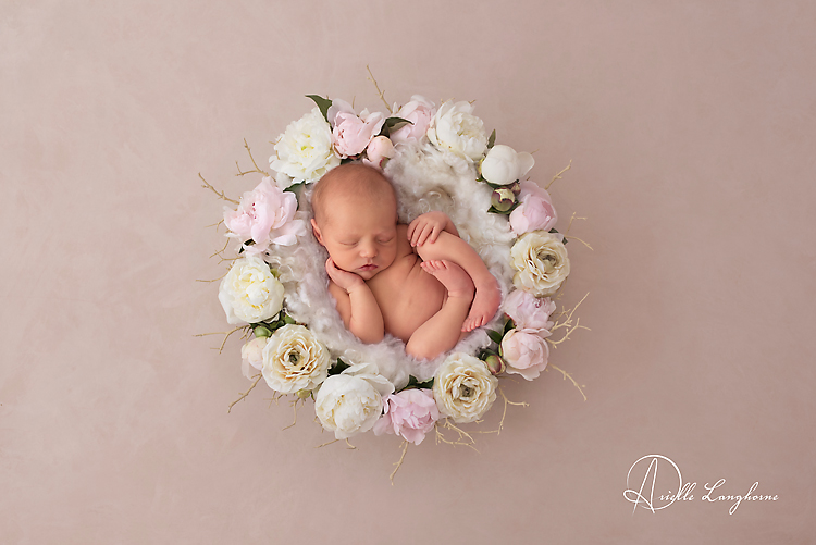 Josie, Pensacola Newborn photographer