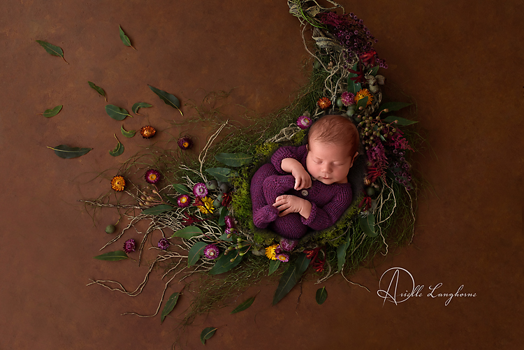 Charlie, Gulf Breeze Newborn Photographer