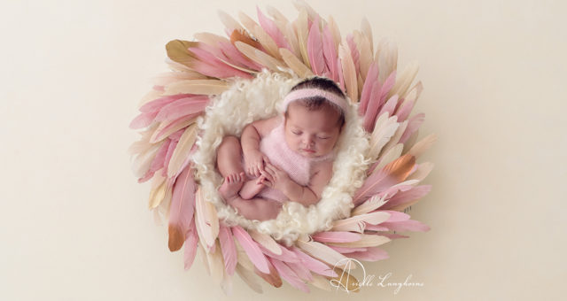Milani Dior, Orange Beach Photographer