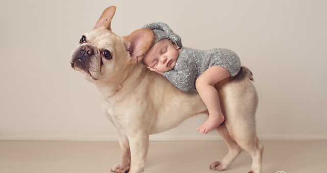 Royal, Pensacola Newborn Photographer