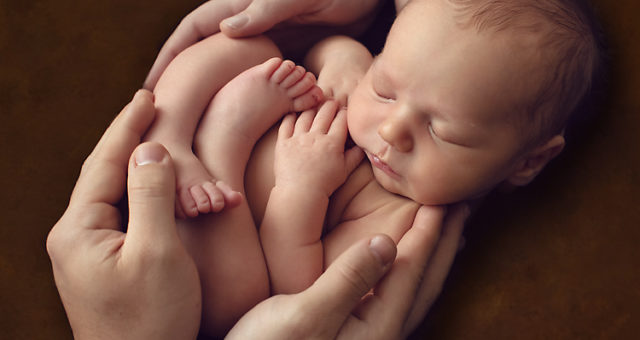Zinnamon, Escambia newborn photographer