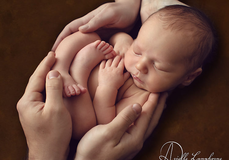 Zinnamon, Escambia newborn photographer