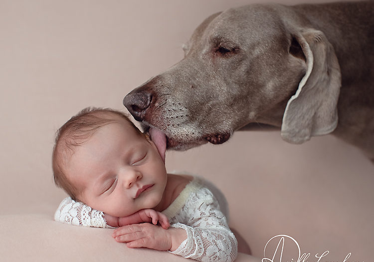 Grayleigh, Pensacola Photographer