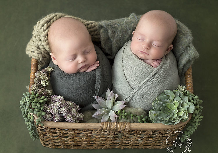 Max & Dax, Pensacola Newborn Photographer