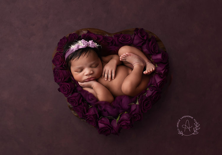Balenci Isabella, Pensacola newborn photographer