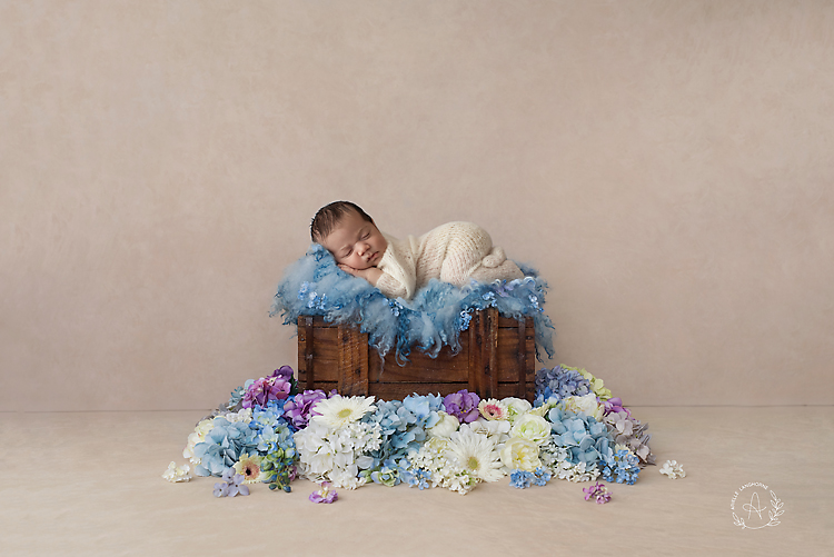 VII, the new little Prince in Pensacola