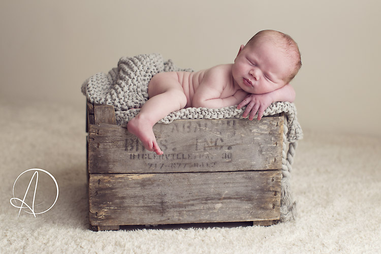 Howland, Pensacola newborn photographer